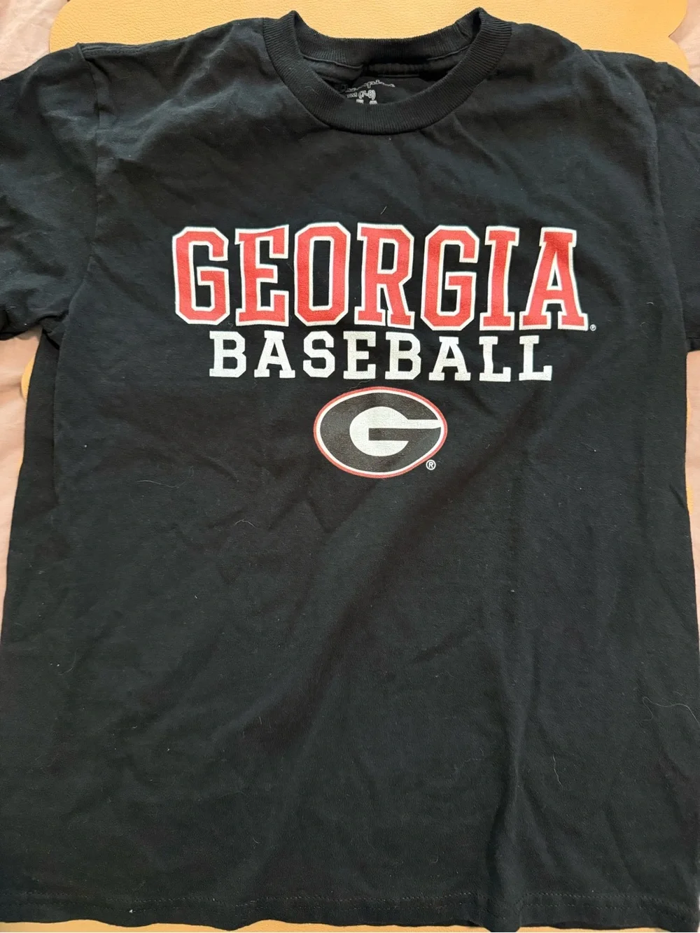 Champion Black Georgia Baseball Tee with Red & White Logo